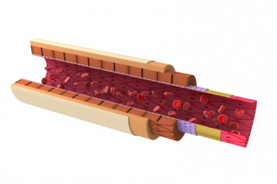 Künstliches Blut aus dem Labor