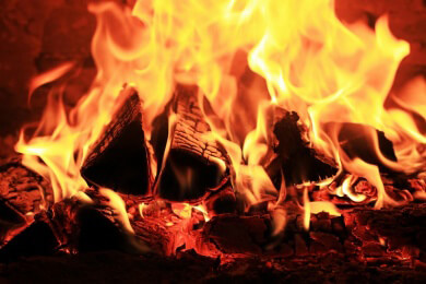 Aborigines nutzen Feuer als ökologische Jagdwaffe