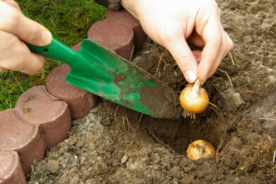 Schon alltägliche Tätigkeiten wie Gartenarbeit und Autowaschen verringern Risiko für Herzinfarkt