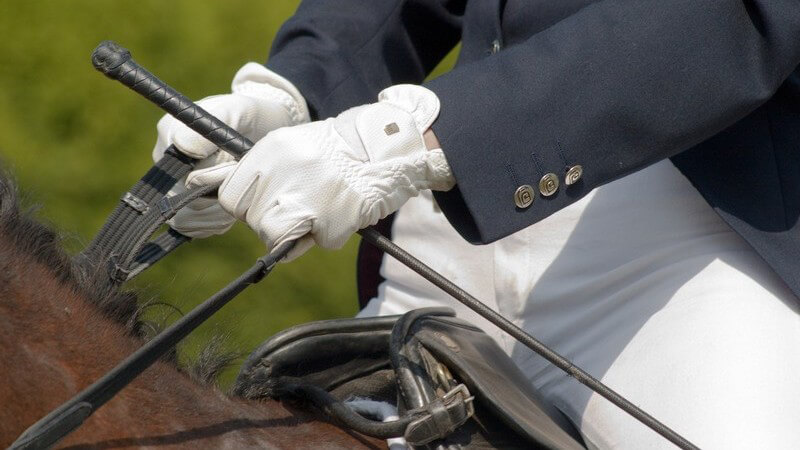 Pferdesport - Dressurreiter mit weißen Handschuhen und weißer Reithose auf dem Sattel eines braunen Pferdes