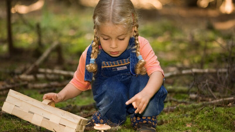 Kleines Mädchen mit Korb im Wald sammelt Pilze