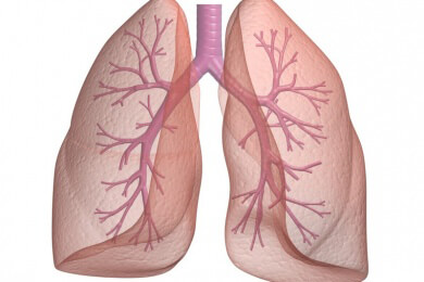 Therapie bei Bronchitis: Weder Entzündungshemmer noch Antibiotika helfen wirklich