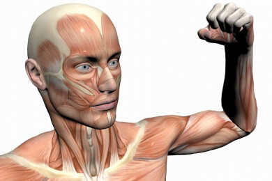 EMS-Training im Fitness-Studio - Muskelaufbau unter Strom