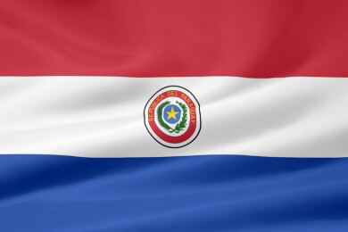 In Paraguay sind zirka 9.000 Menschen am Dengue-Fieber erkrankt und über 240 starben bisher daran