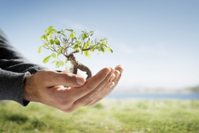 Spenden für Pandas und Feldhamster: Nur 6 von 46 Tierschutzorganisationen mit "gut" bewertet