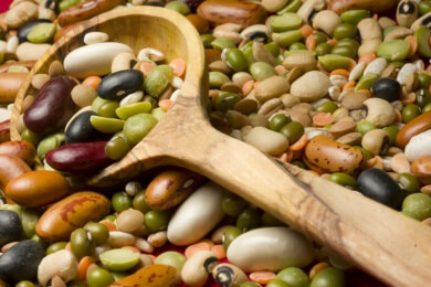 Allerlei Interessantes rund um die bunten Hülsenfrüchte: Linsen