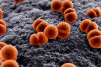 In Köln stirbt ein Baby nach einer Meningokokken-Infektion