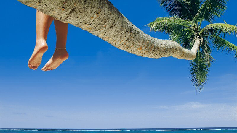 Palme mit baumelnden Füßen über dem Meer vor strahlend blauem Himmel