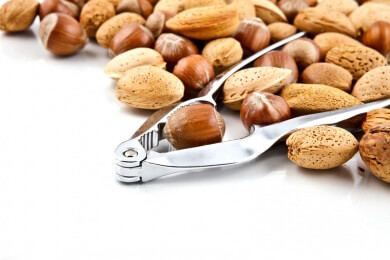 Ungekrönter Star unter den Nüssen: die Macadamia