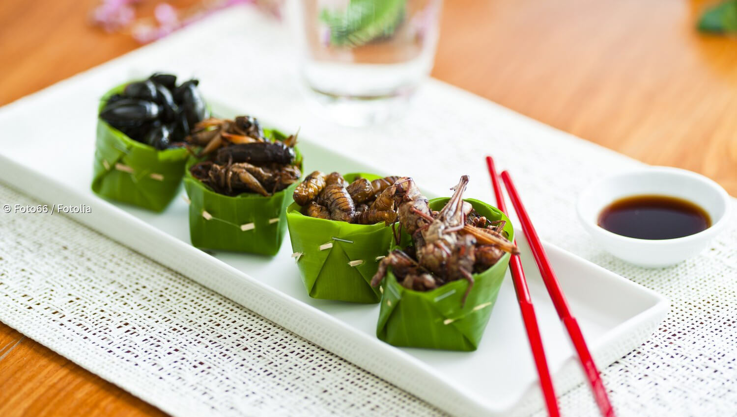 Kurzmeldungen zum Thema EssStäbchen paradisi.de