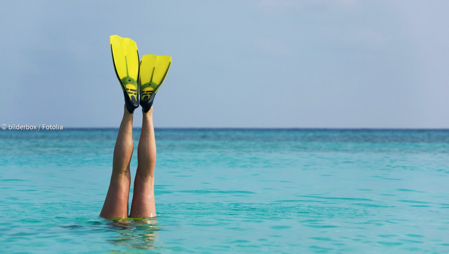 Kurzmeldungen Zum Thema Flossenschwimmen - Paradisi.de