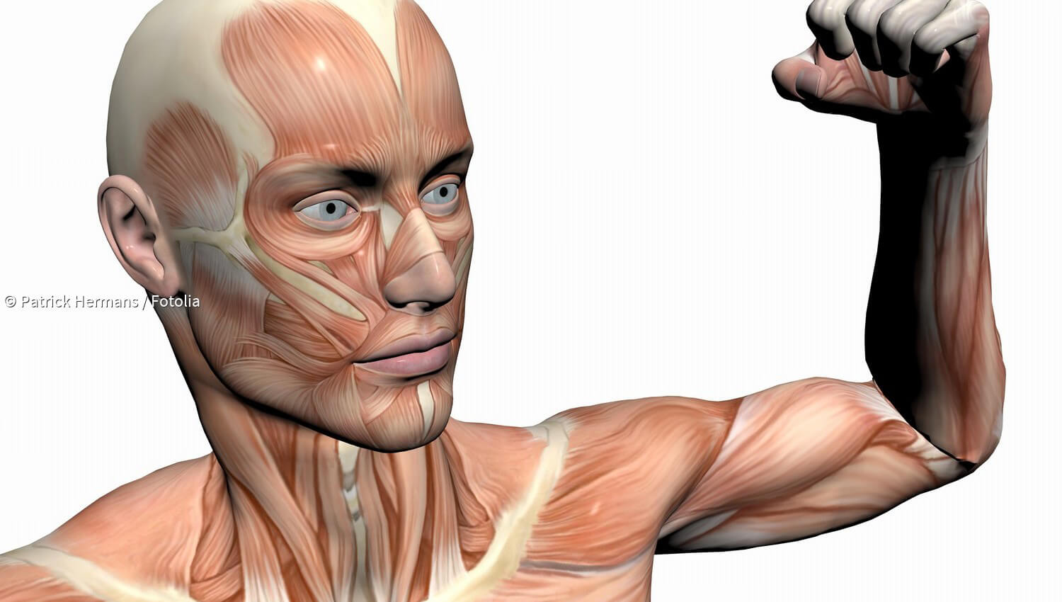 Kurzmeldungen zum Thema Glutamin - paradisi.de