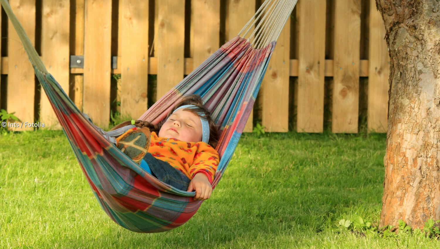 Kurzmeldungen zum Thema Hängematte paradisi.de