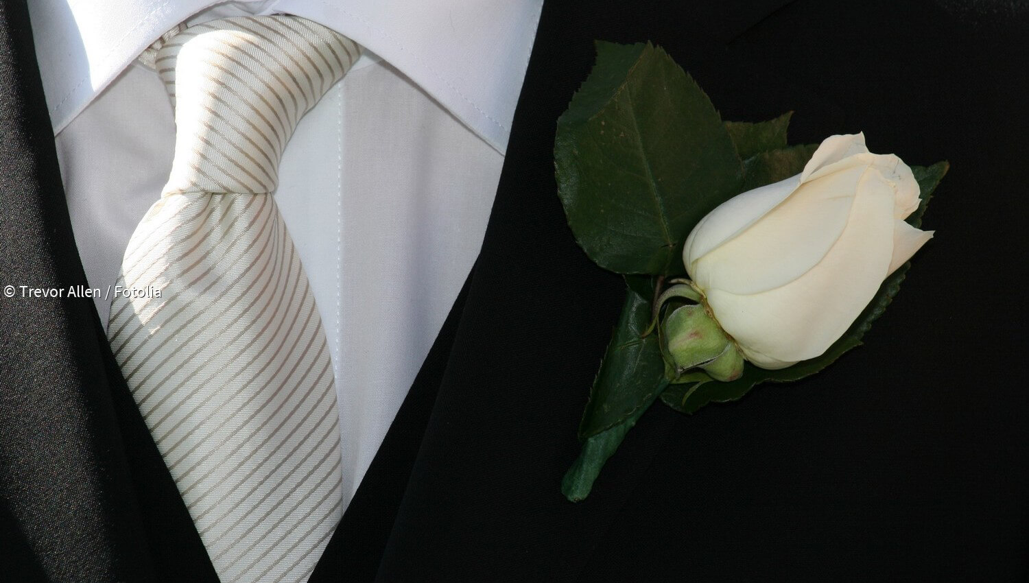G.O.L. Krawatten Für Jungen – Stylische Accessoires Für Festliche Anlässe, Mit Schicken Mustern