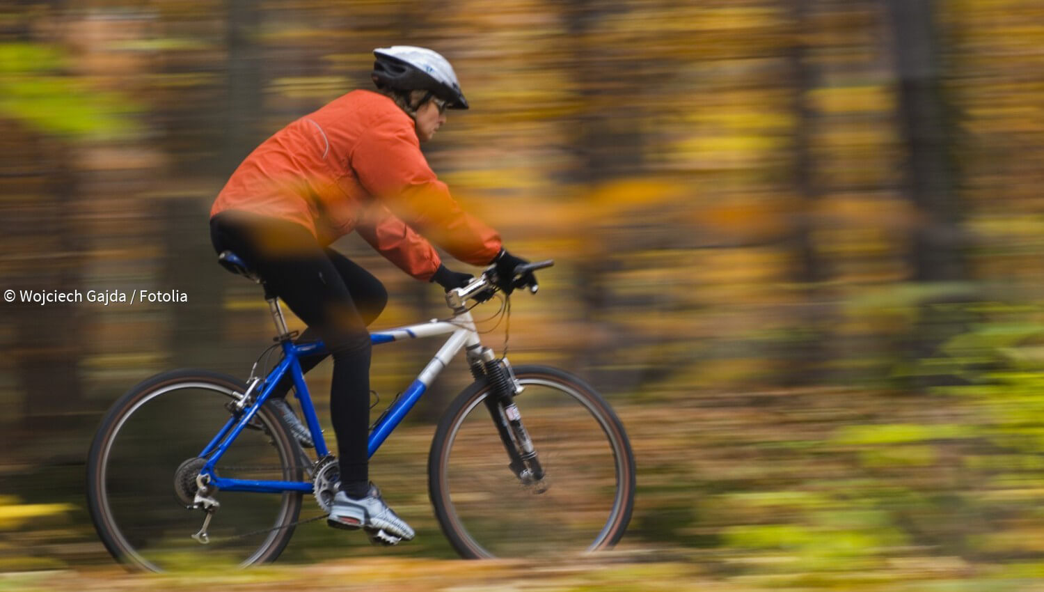 Kurzmeldungen Zum Thema Mountainbike - Paradisi.de