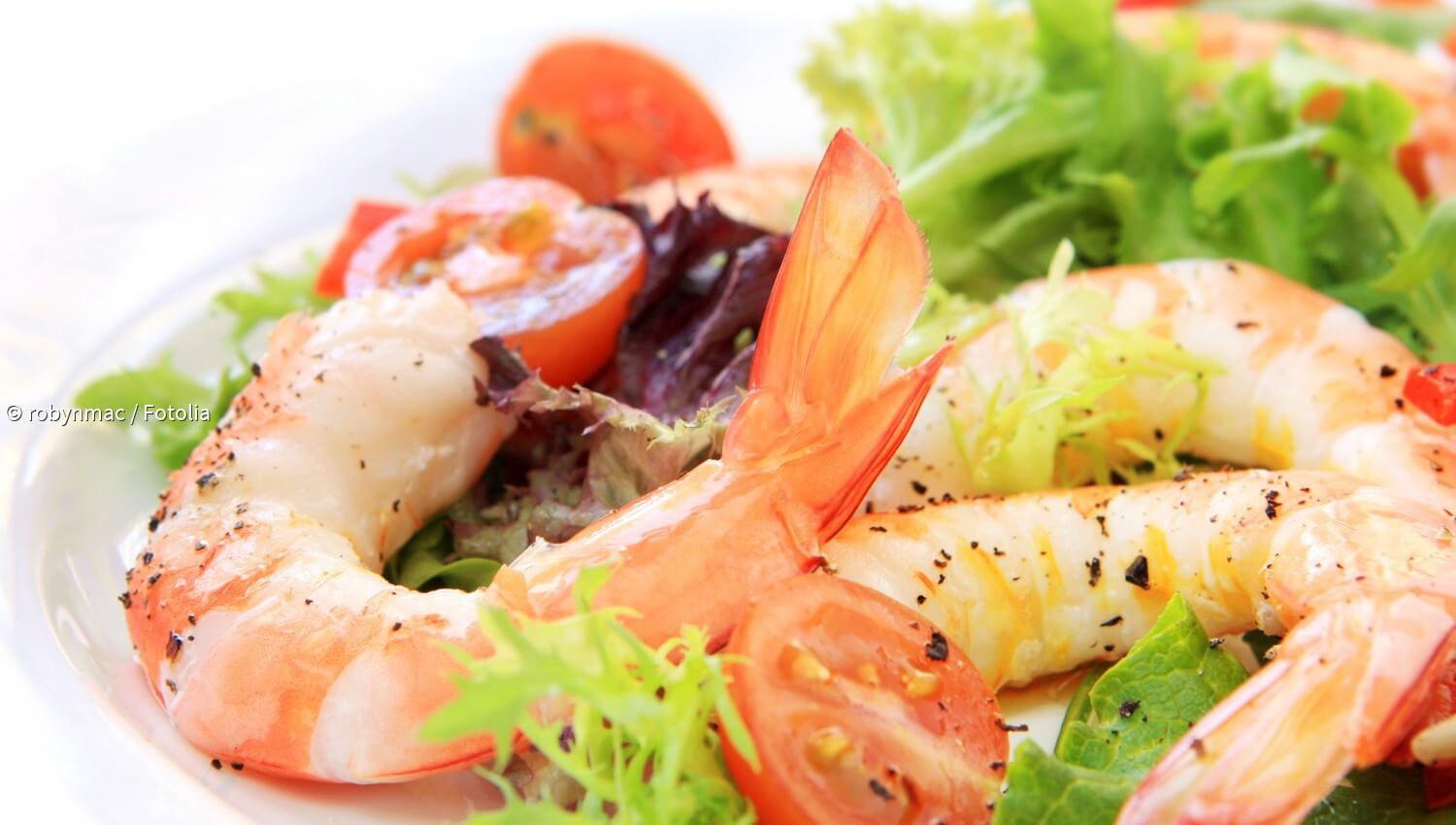 Kurzmeldungen zum Thema ScarsdaleDiät paradisi.de